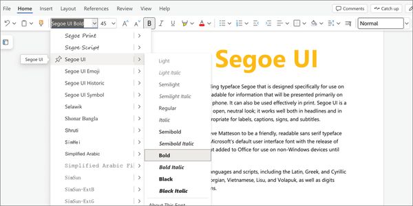 Card displaying Segoe UI typeface in various styles