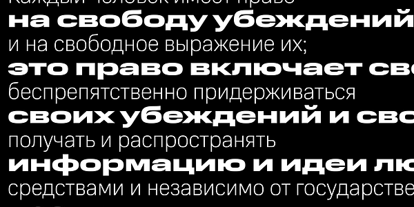 Card displaying Normalidad typeface in various styles