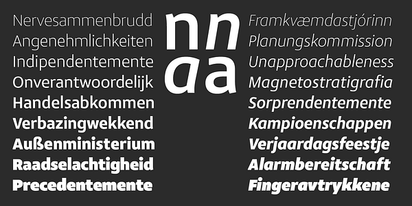 Card displaying Mae Variable typeface in various styles