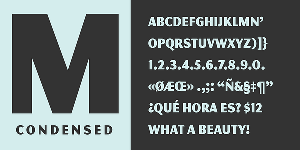 Card displaying MVB Magnesium typeface in various styles