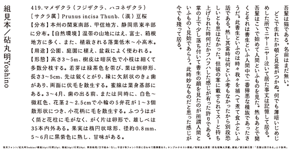 Card displaying Kinuta Marumin Yoshino StdN typeface in various styles