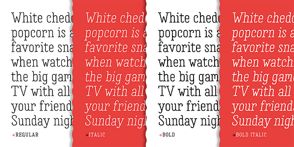 Card displaying Garlic Salt typeface in various styles