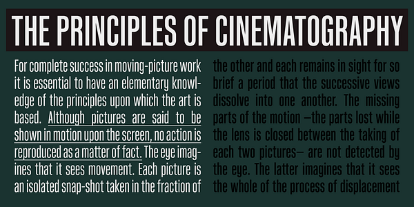 Card displaying Kaneda Gothic typeface in various styles