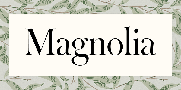 Card displaying Warbler typeface in various styles