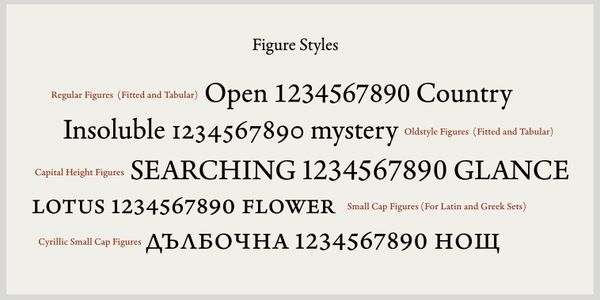 Card displaying Adobe Aldine typeface in various styles