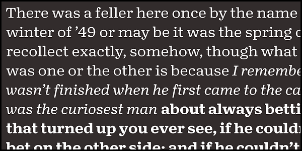 Card displaying Turnip RE typeface in various styles