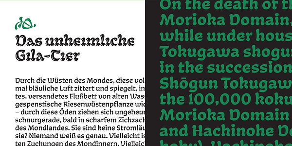 Card displaying Tumba Variable typeface in various styles