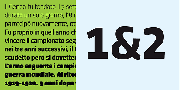 Card displaying Dic Sans typeface in various styles