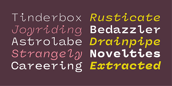 Card displaying Panel Sans Mono typeface in various styles