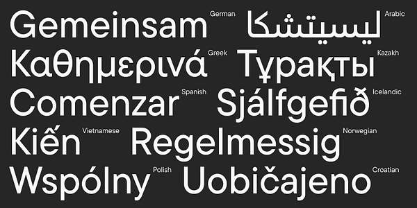 Card displaying TT Commons Pro typeface in various styles