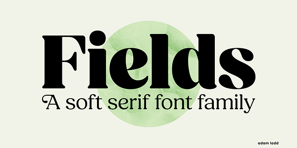 Card displaying Fields typeface in various styles