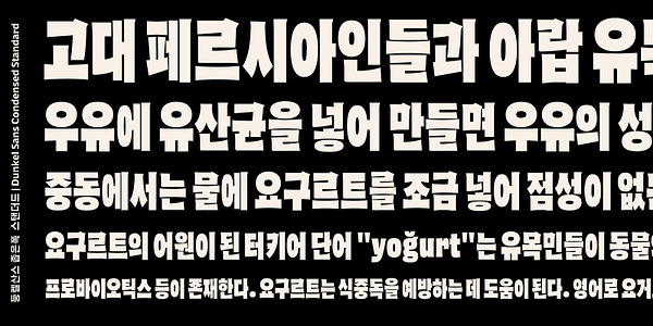 Card displaying Dunkel Sans Standard typeface in various styles