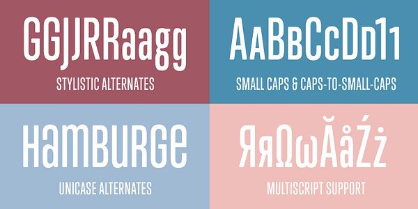 Card displaying Trump typeface in various styles