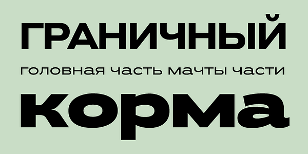 Card displaying PF Grand Gothik Variable typeface in various styles