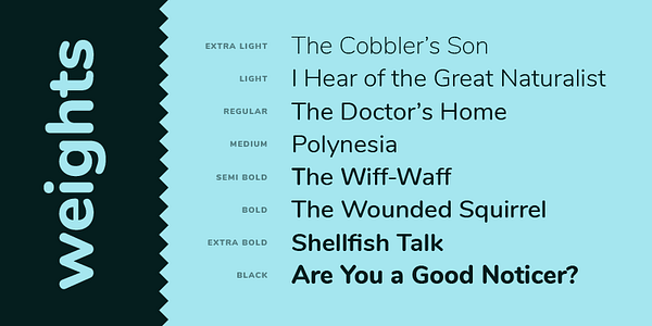 Card displaying Nunito typeface in various styles