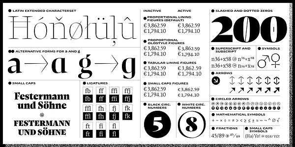 Card displaying NewsSerif Variable typeface in various styles
