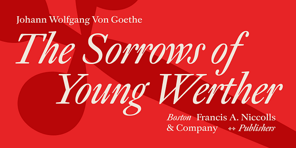 Card displaying Panta Display typeface in various styles