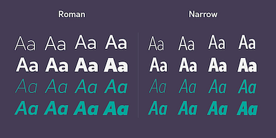 Card displaying Rival Sans typeface in various styles