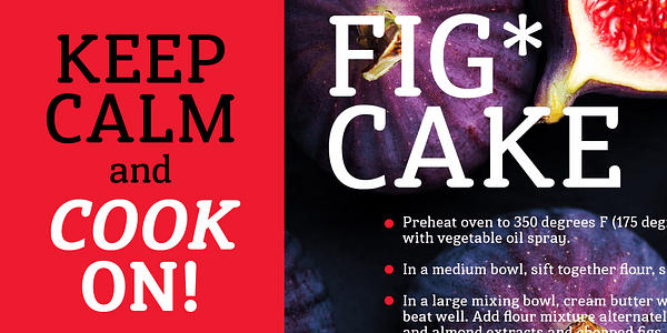 Card displaying Susan typeface in various styles