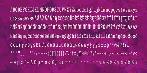 Card displaying Mitigate typeface in various styles