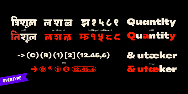 Card displaying Peridot Devanagari typeface in various styles