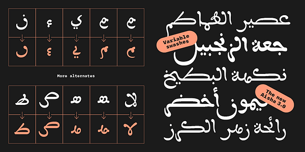 Card displaying Aisha Arabic typeface in various styles