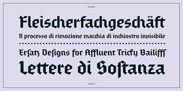 Card displaying Fleisch typeface in various styles