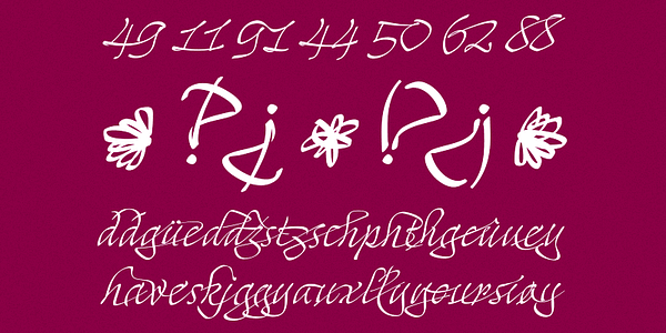 Card displaying Mayence typeface in various styles