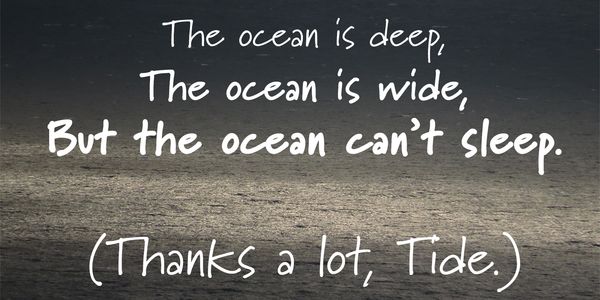 Card displaying Marydale typeface in various styles