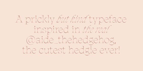 Card displaying Aidé typeface in various styles