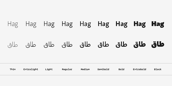 Card displaying Skolar Sans Arabic typeface in various styles