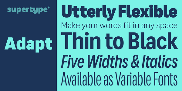 Card displaying Adapt Variable typeface in various styles