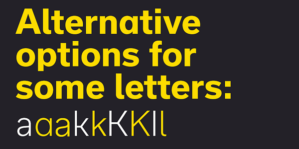 Card displaying Usual typeface in various styles