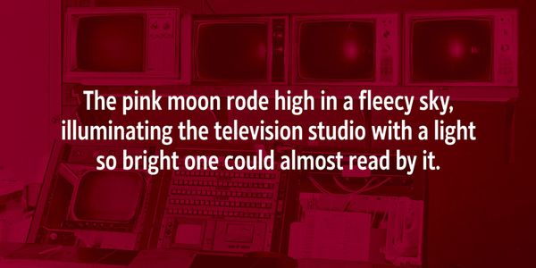 Card displaying Ligurino typeface in various styles