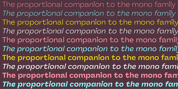 Card displaying Panel Sans typeface in various styles