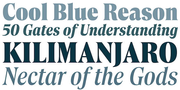 Card displaying Borax Variable typeface in various styles