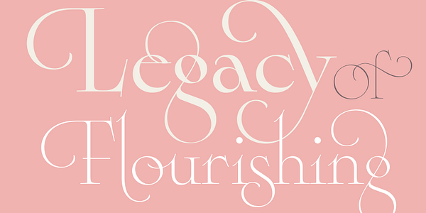 Card displaying Cisne Variable typeface in various styles