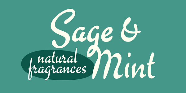 Card displaying Willard Sniffin Script typeface in various styles