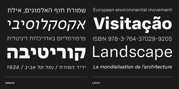Card displaying Adapter Hebrew Text typeface in various styles