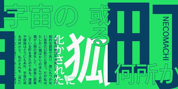 Card displaying FOT-Rodin ProN typeface in various styles