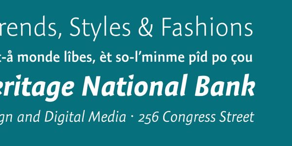 Card displaying Expo Sans typeface in various styles