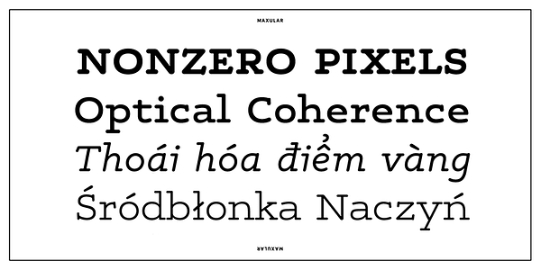 Card displaying Maxular typeface in various styles