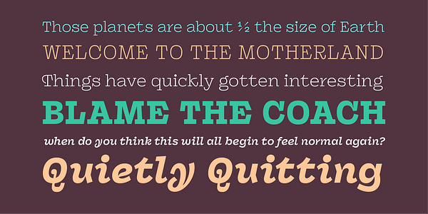 Card displaying Panel typeface in various styles