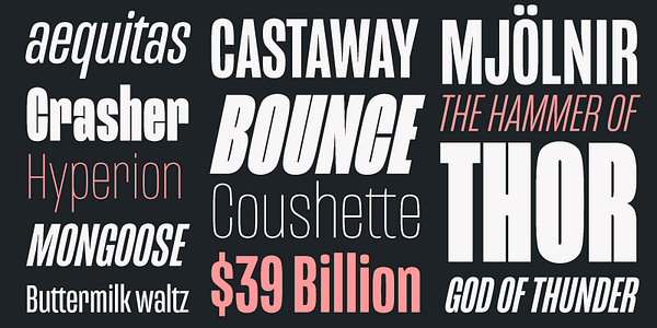 Card displaying Mongoose typeface in various styles