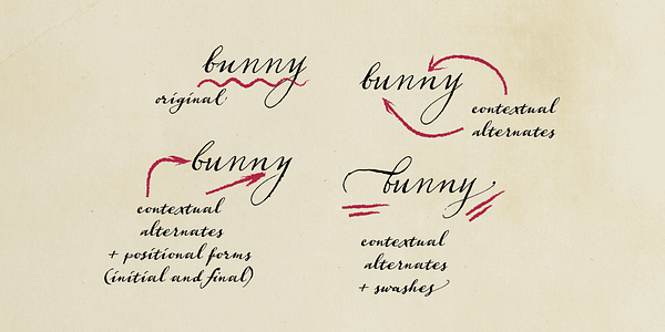 Card displaying Aphrosine typeface in various styles