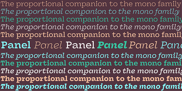 Carte présentant la police de caractères Panel dans différents styles