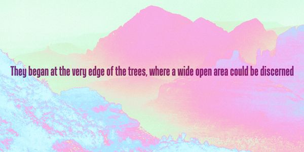 Card displaying Tandelle typeface in various styles