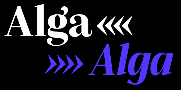 Card displaying Alga typeface in various styles