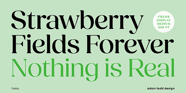 Card displaying Fields typeface in various styles