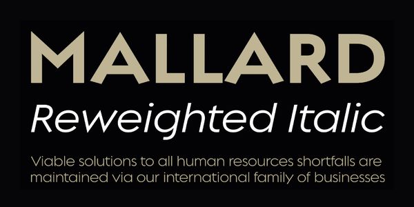 Card displaying Regulator Nova typeface in various styles